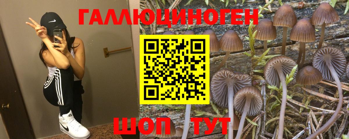 Галлюциногенные грибы мицелий  Галлюциногенные грибы Cubensis  Прохладный  Вход с VPN 